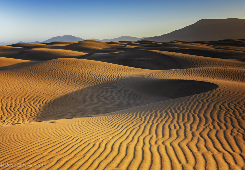 Dunas de Longotoma